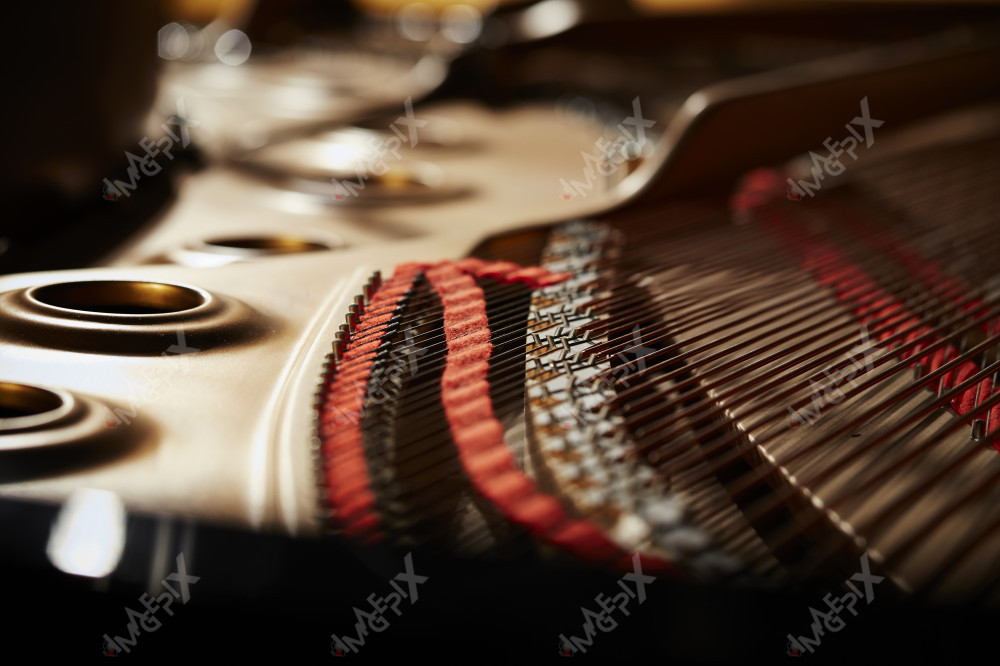 콘서트 홀 연주회 공연